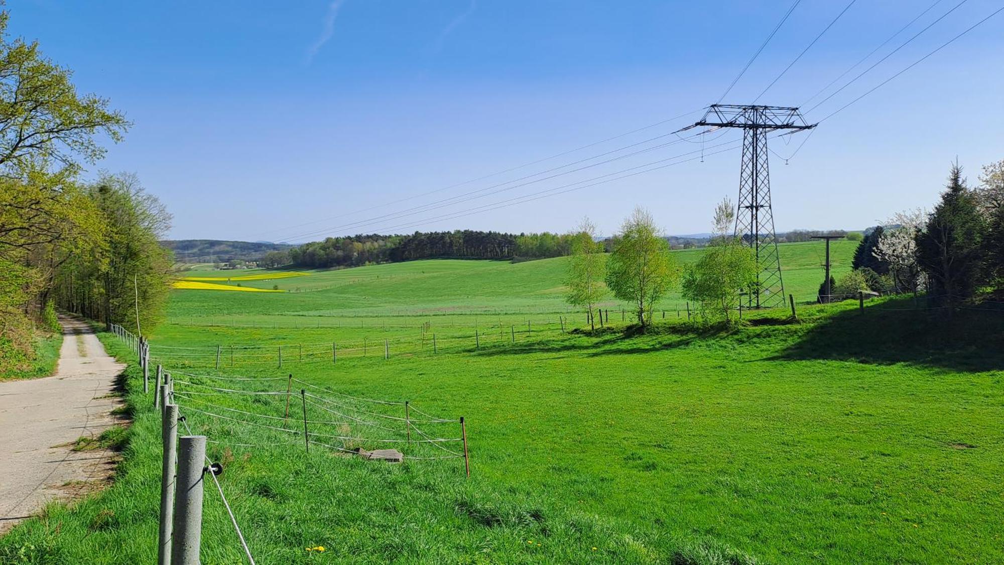 „zum Alten Froehlich“